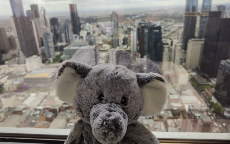 Elephant in the Boardroom New Office - Collins Street